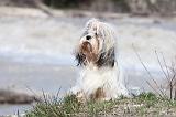 LHASSA APSO 073